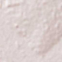 Colonia Nueva Germania Terrain Map