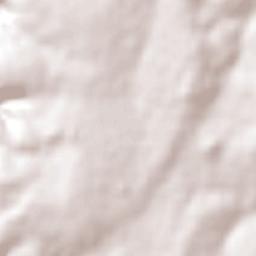 Paranhos Terrain Map