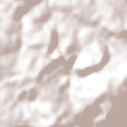 Mauá da Serra Terrain Map