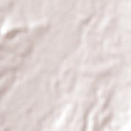 Palma Sola Terrain Map