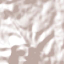 Curiúva Terrain Map