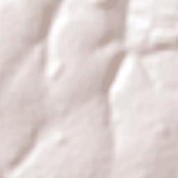 Corpus Christi Terrain Map