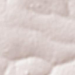 La Paloma Terrain Map