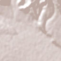 San Salvador de Jujuy Terrain Map