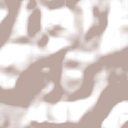 Grandes Rios Terrain Map