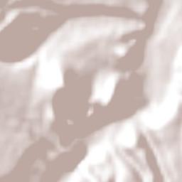 San Antonio de los Cobres Terrain Map