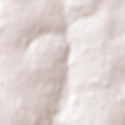 Palotina Terrain Map