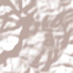 Rio Branco do Ivaí Terrain Map