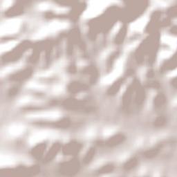 Lenchwe Le Tau Terrain Map