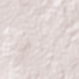 General Elizardo Aquino Terrain Map