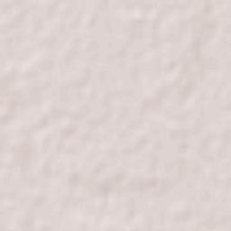 Blackall Terrain Map