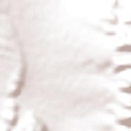 Departamento de Los Andes Terrain Map