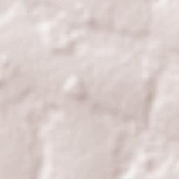 Nueva Esperanza Terrain Map