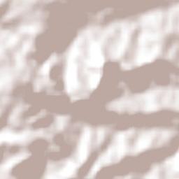 Roncador Terrain Map