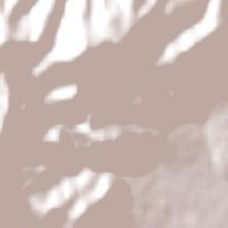 La Caldera Terrain Map