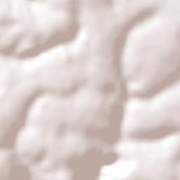 Campina da Lagoa Terrain Map