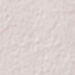 Diamantina Terrain Map