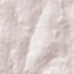 Pato Bragado Terrain Map