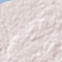 Moore Park Beach Terrain Map