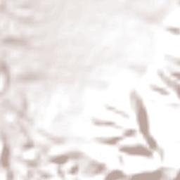 Departamento de General Güemes Terrain Map