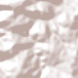 Braganey Terrain Map