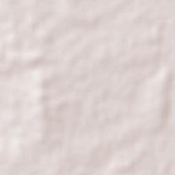 Blackall Tambo Terrain Map