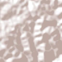 Laranjal Terrain Map