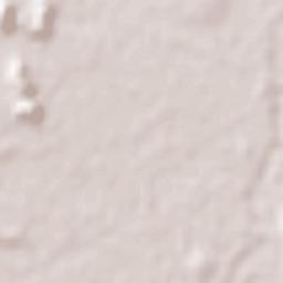 Departamento de Cerrillos Terrain Map