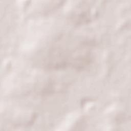 Benjamín Aceval Terrain Map