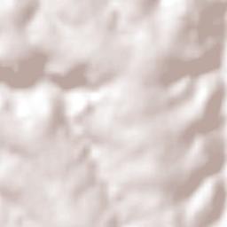 Santa Tereza do Oeste Terrain Map