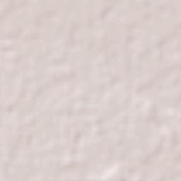 El Carril Terrain Map