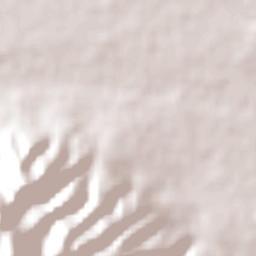 Chicoana Terrain Map