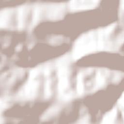 Lindoeste Terrain Map