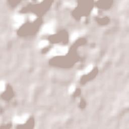 Antonina Terrain Map