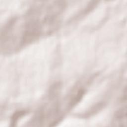 Lambaré Terrain Map