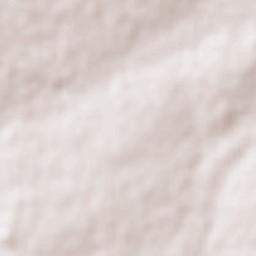 Fernando de la Mora Terrain Map