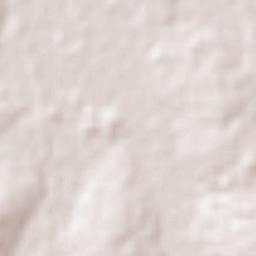 Eusebio Ayala Terrain Map