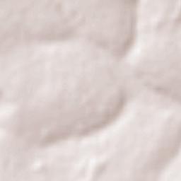 Doctor Juan Manuel Frutos Terrain Map