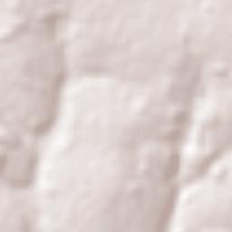 Colonia General Alfredo Stroessner Terrain Map