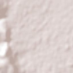 Ypacarai Terrain Map