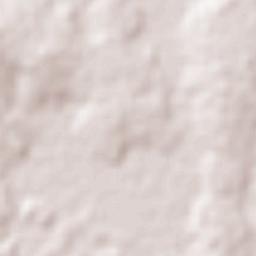 Santa Elena Terrain Map