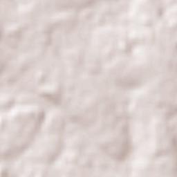 Doctor Juan León Mallorquín Terrain Map