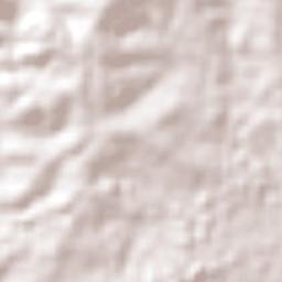 Curitiba Terrain Map