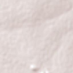 Bojanala Platinum District Municipality Terrain Map