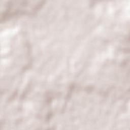 Coronel Oviedo Terrain Map