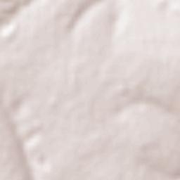 Caaguazú Terrain Map