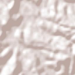 Fernandes Pinheiro Terrain Map