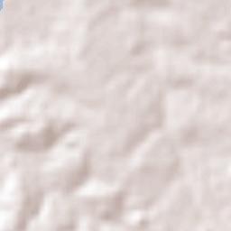 São José dos Pinhais Terrain Map