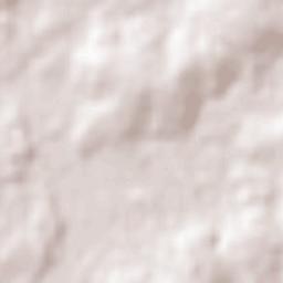 Colonia Mauricio José Troche Terrain Map