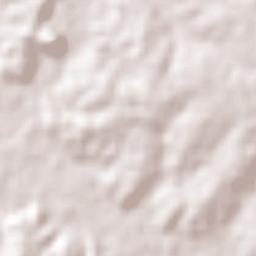 Araucária Terrain Map